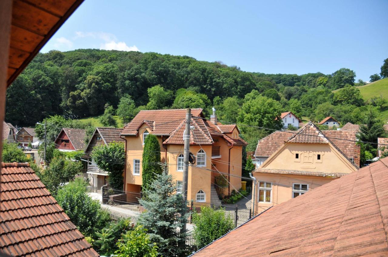 Pensiunea Ana Cristina Sighişoara Exteriér fotografie