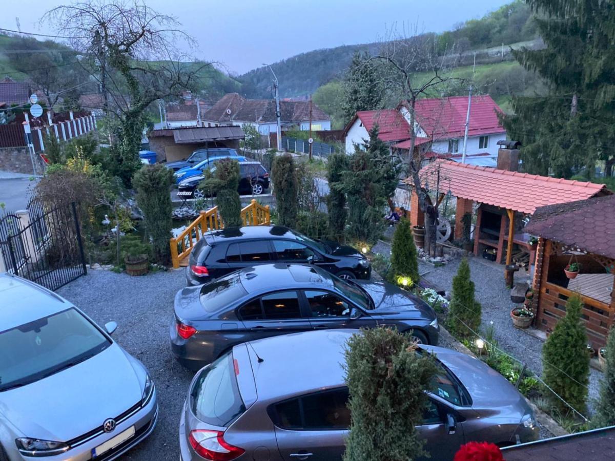 Pensiunea Ana Cristina Sighişoara Exteriér fotografie