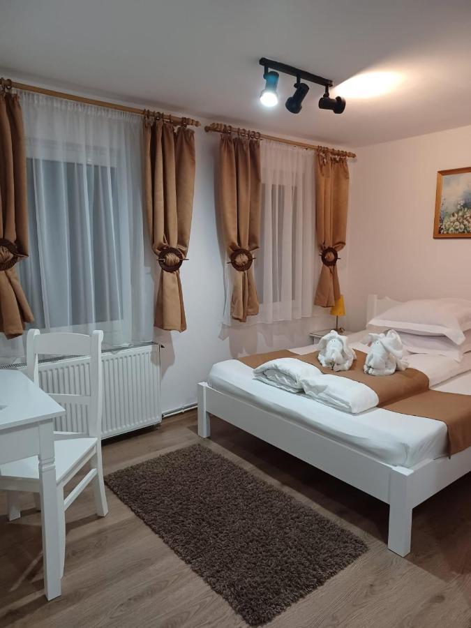 Pensiunea Ana Cristina Sighişoara Exteriér fotografie